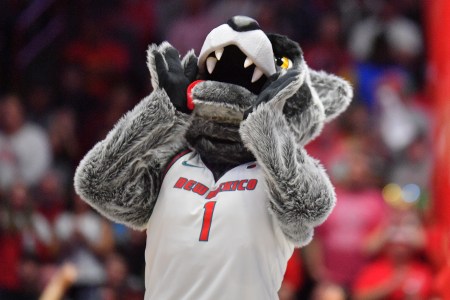 New Mexico Lobos