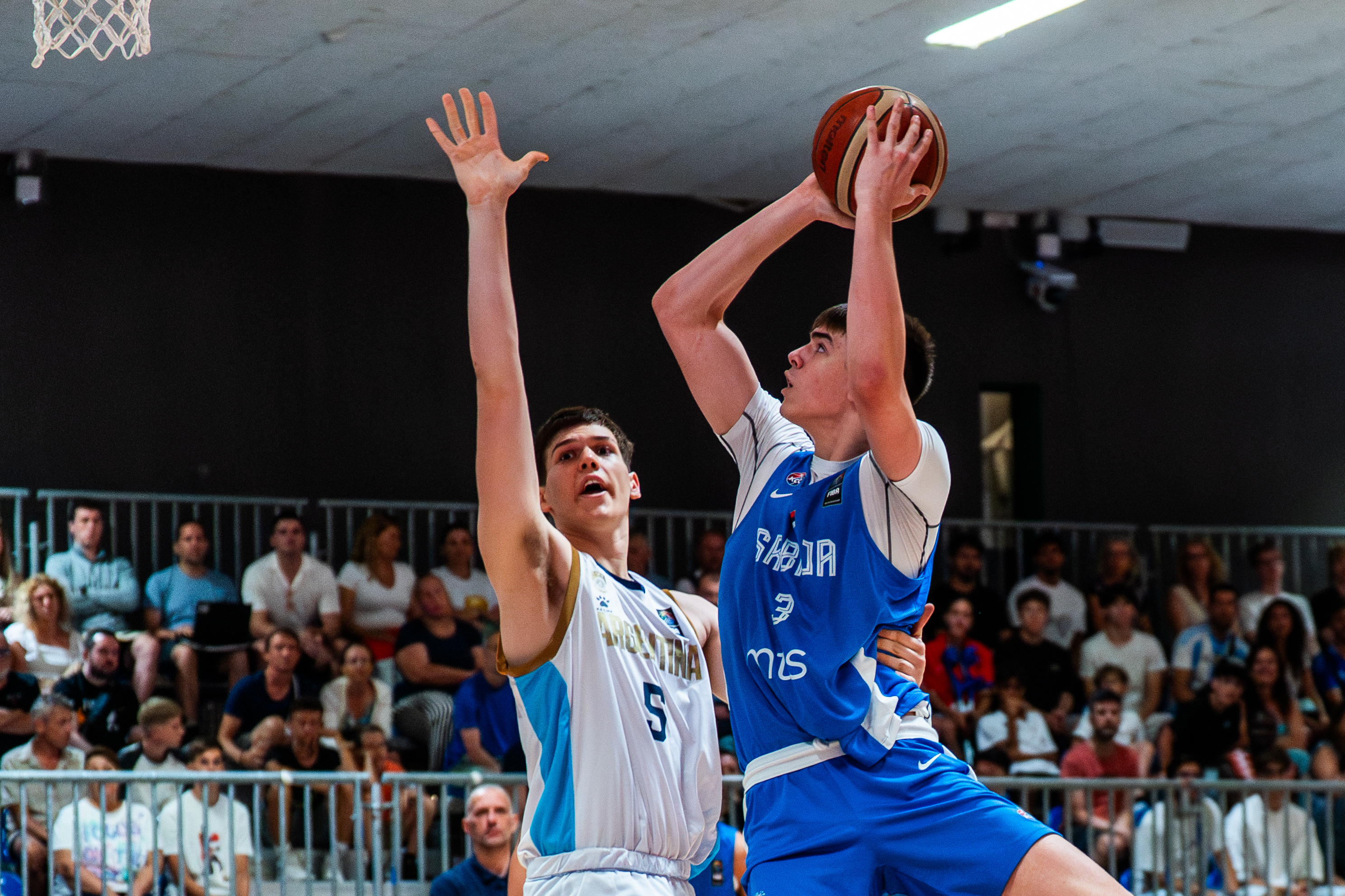 Nikola Dzepina is a quality big from Spain's Valencia Basket Club. He will join Washington's roster in time for conference play in December.